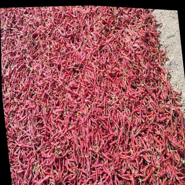 Dataset Image