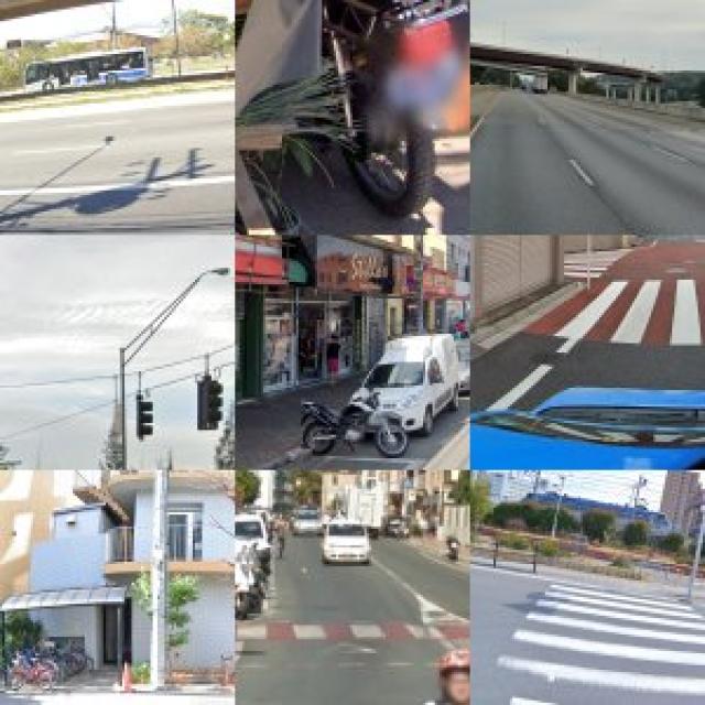 Dataset Image