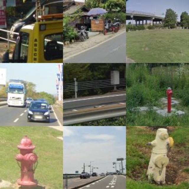 Dataset Image