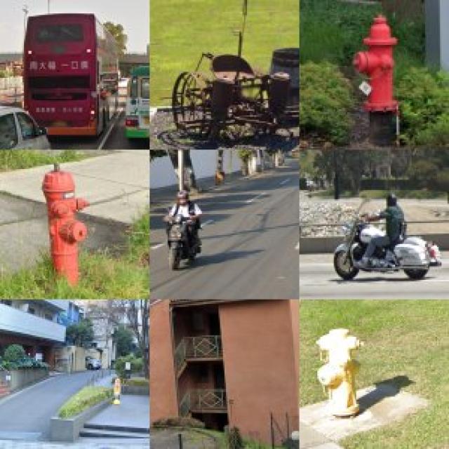 Dataset Image