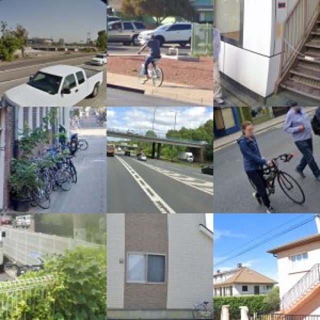 Dataset Image