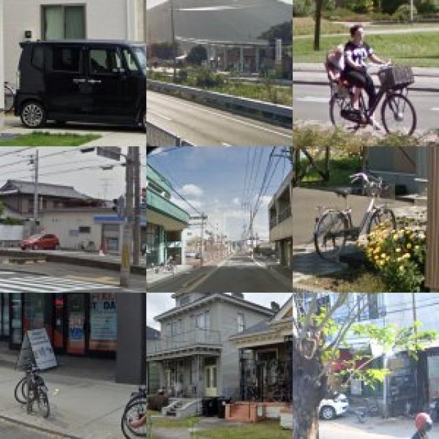 Dataset Image