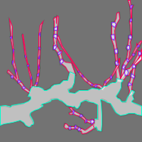 Annotation Visualization