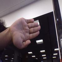 Dataset Image