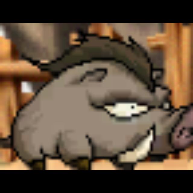 Dataset Image