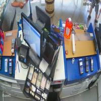 Dataset Image