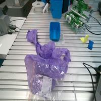 Dataset Image