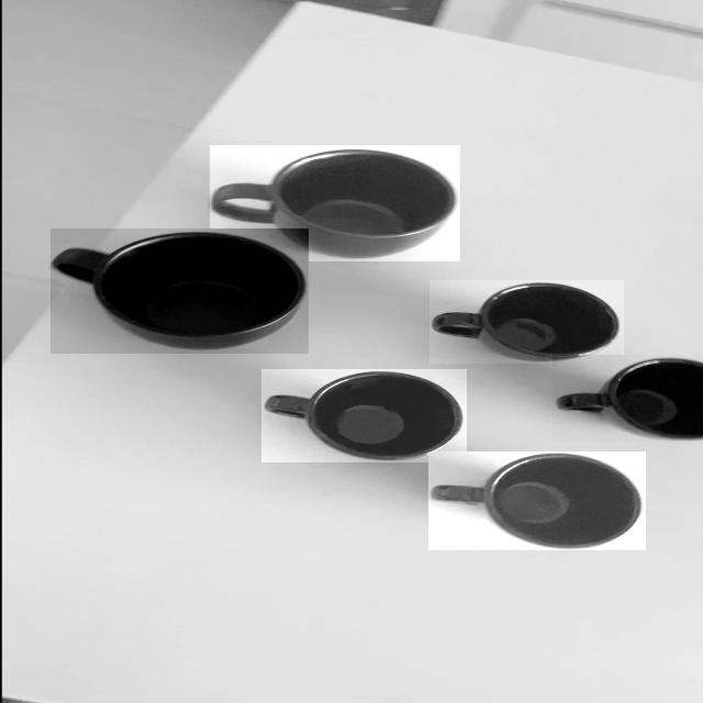 Dataset Image