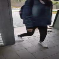 Dataset Image