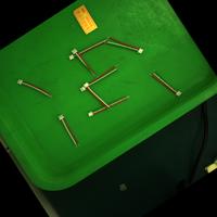 Dataset Image