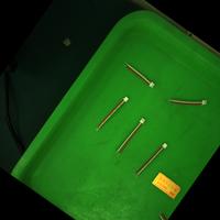 Dataset Image