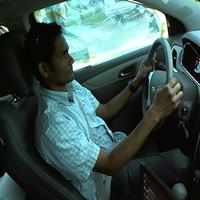 Dataset Image