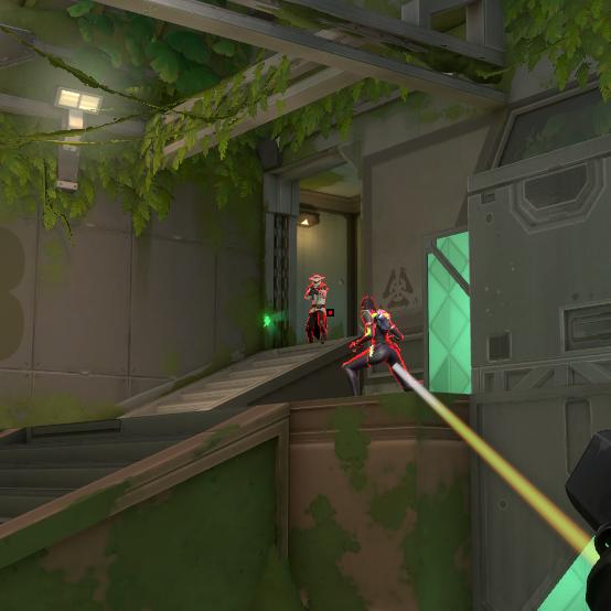 Dataset Image