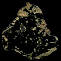 Dataset Image