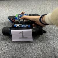 Dataset Image