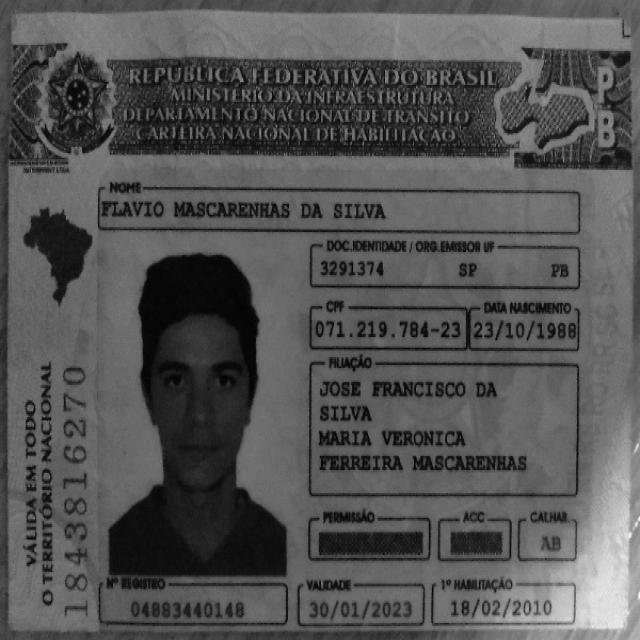 Dataset Image