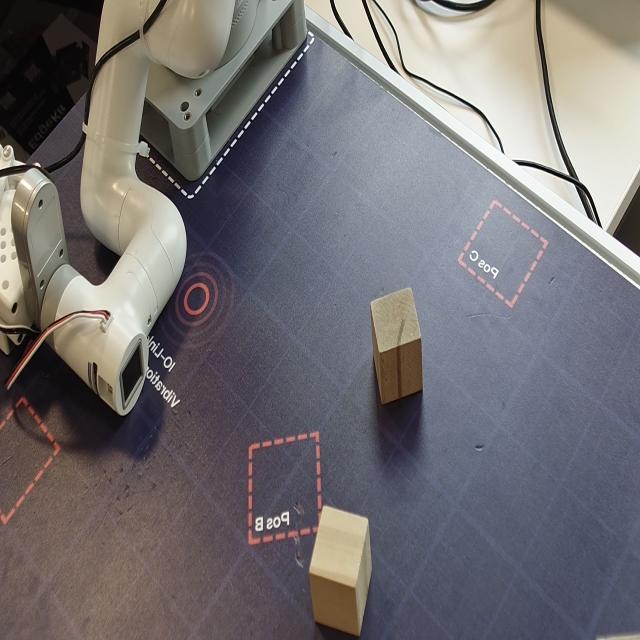 Dataset Image