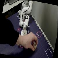 Dataset Image