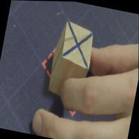 Dataset Image