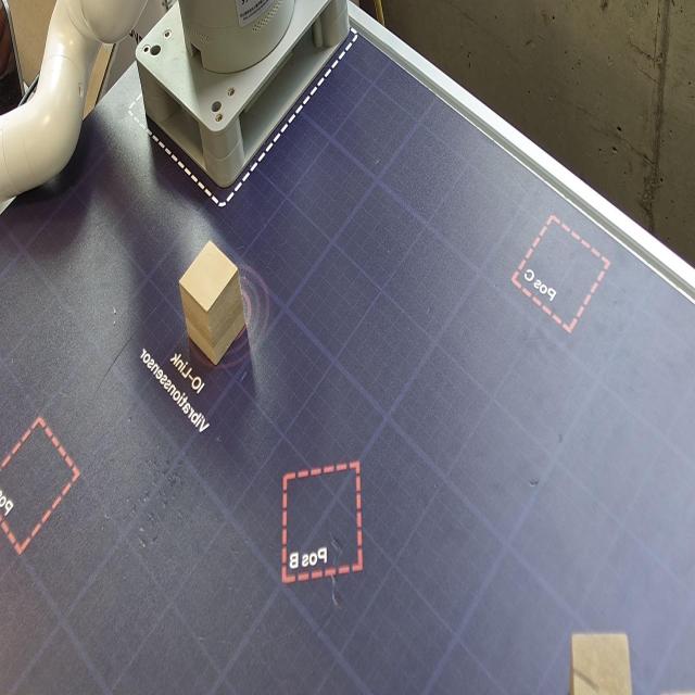 Dataset Image