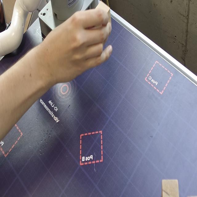 Dataset Image