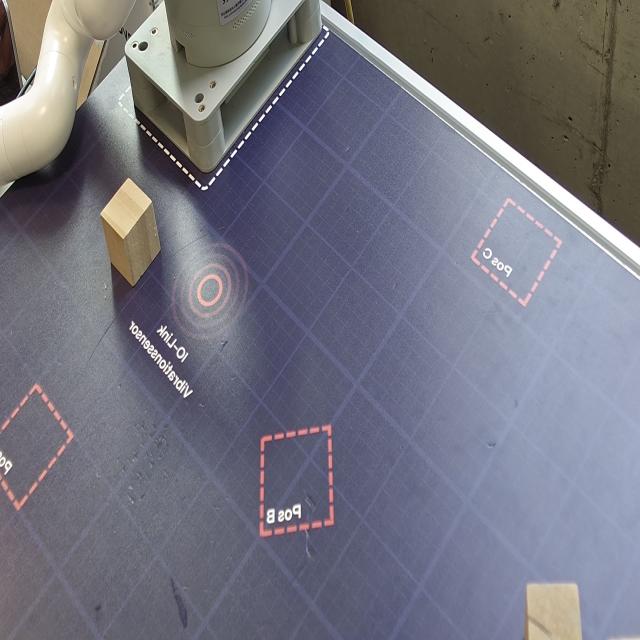 Dataset Image