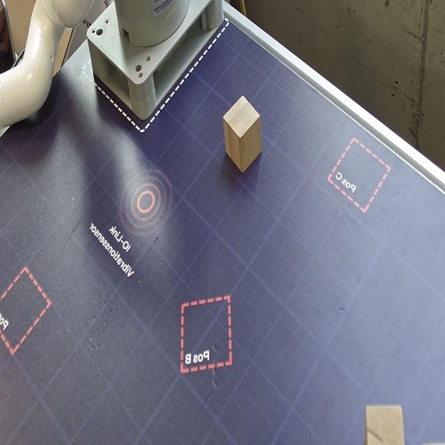 Dataset Image