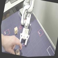 Dataset Image