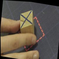 Dataset Image