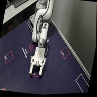 Dataset Image