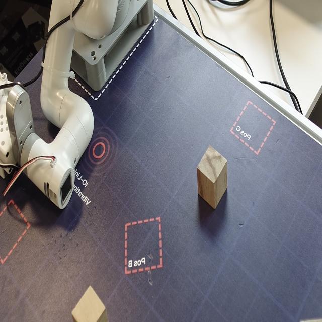 Dataset Image