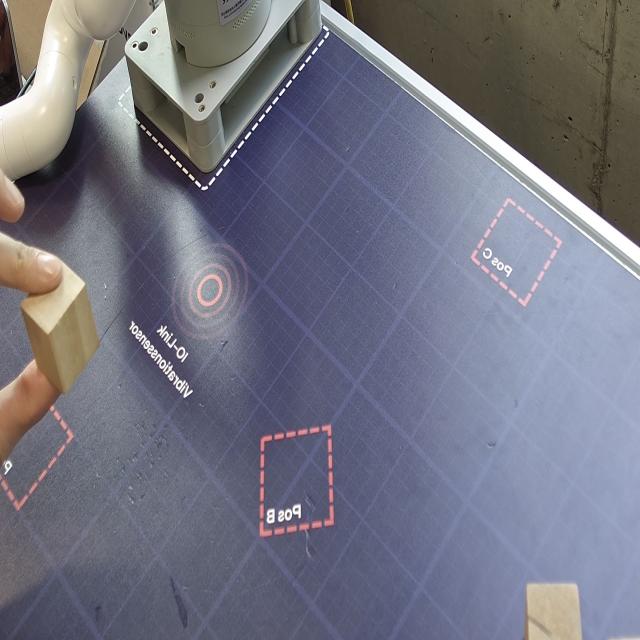 Dataset Image