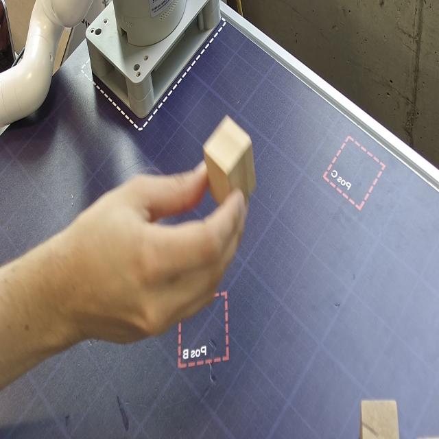 Dataset Image