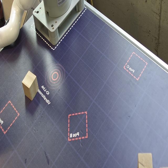 Dataset Image