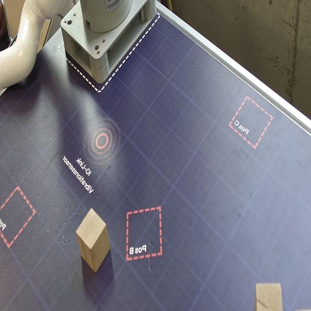 Dataset Image