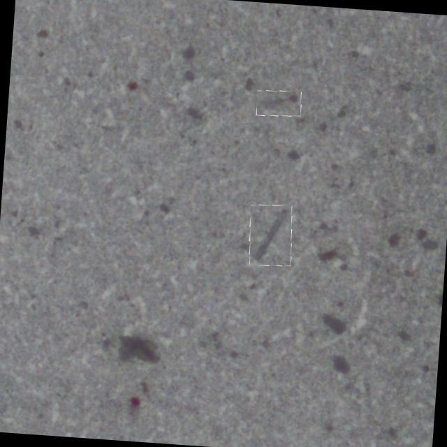 Dataset Image