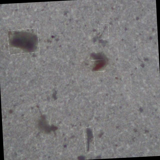 Dataset Image