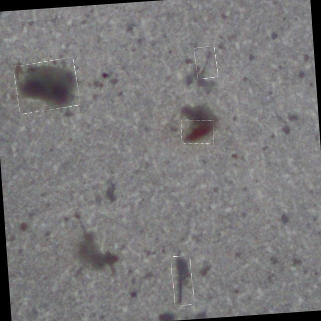 Dataset Image