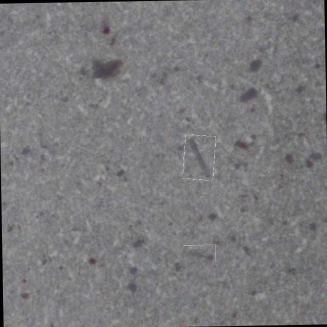 Dataset Image
