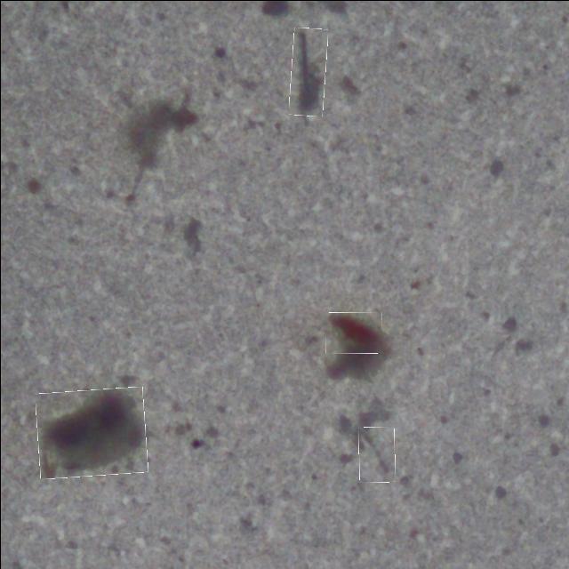 Dataset Image