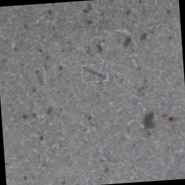 Dataset Image