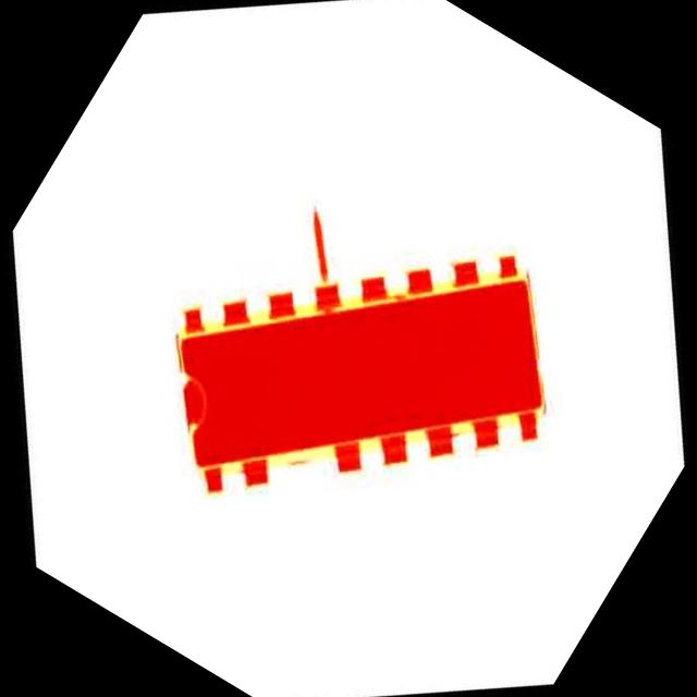 Dataset Image