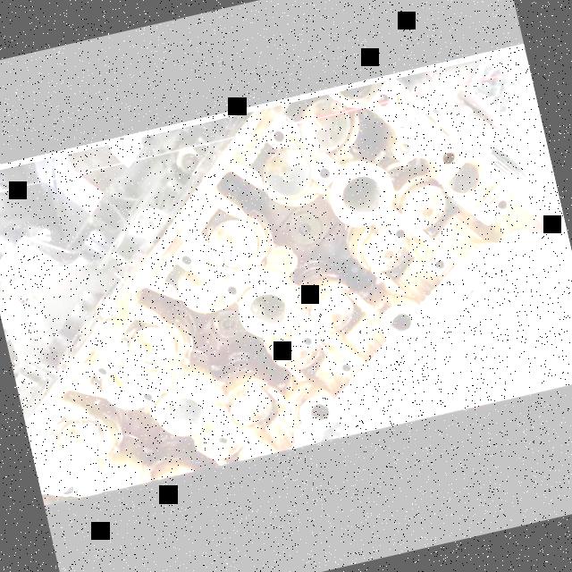 Dataset Image