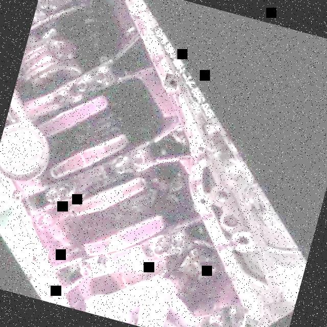 Dataset Image