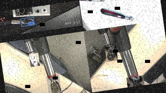 Dataset Image