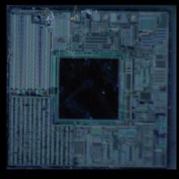 Dataset Image