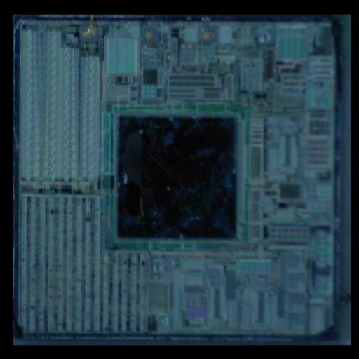 Dataset Image