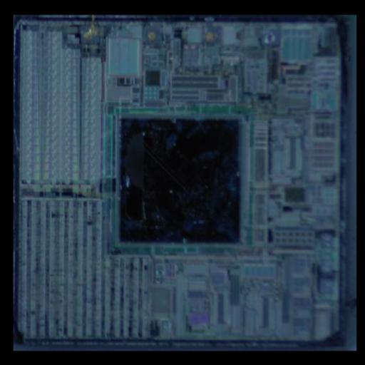 Dataset Image