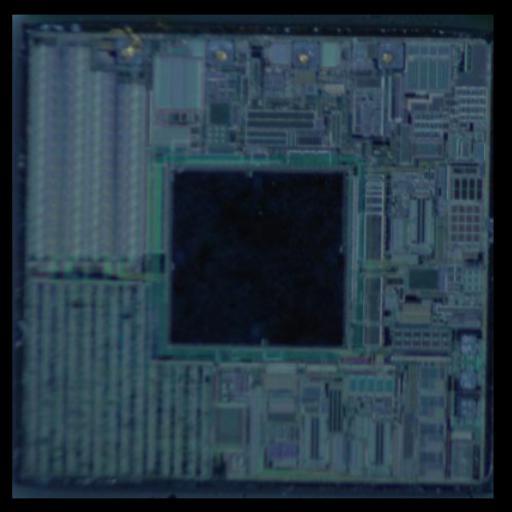 Dataset Image