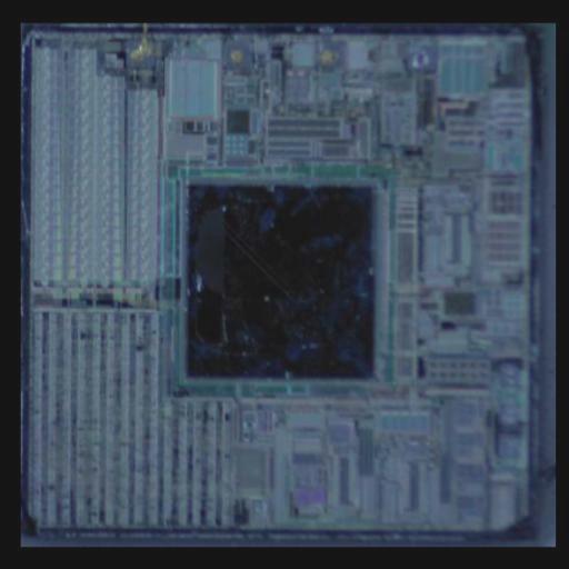 Dataset Image